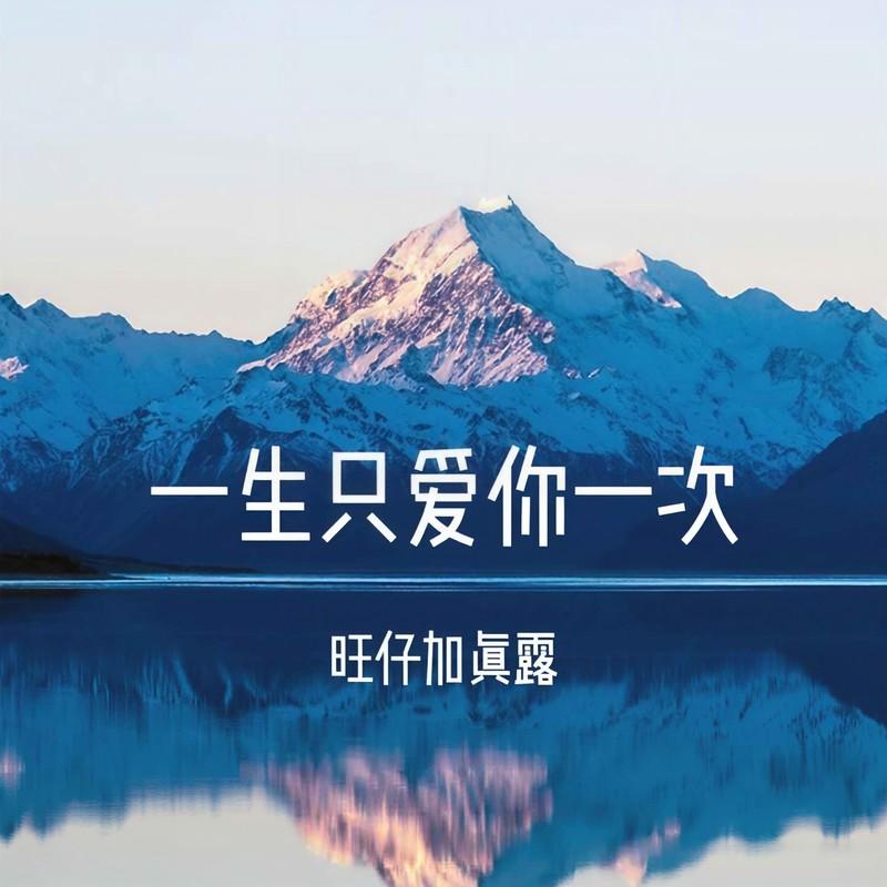 一生只爱你一次 (抒情版)封面