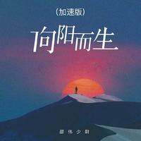 向阳而生（加速版）