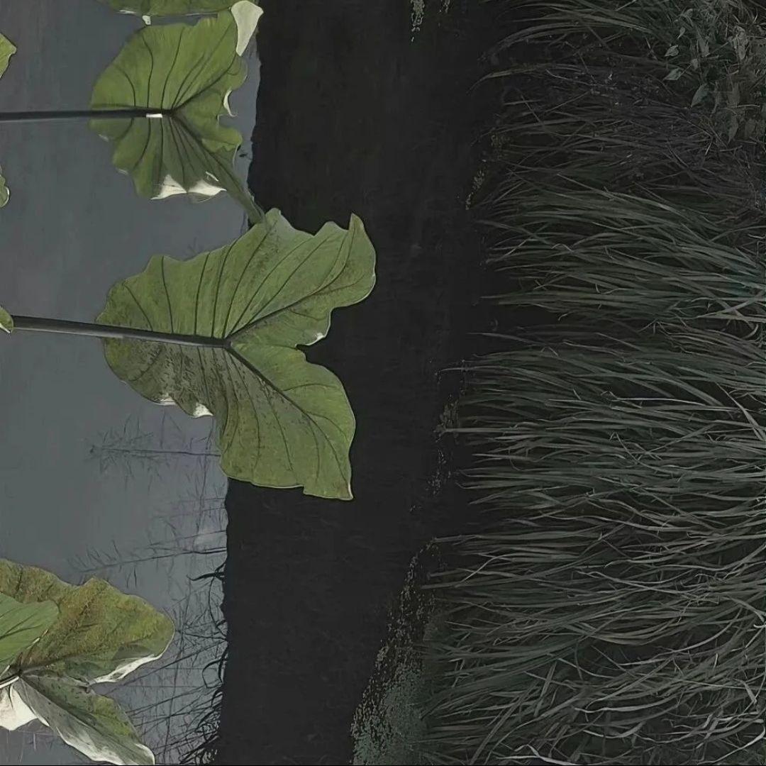 我的错 伴奏封面