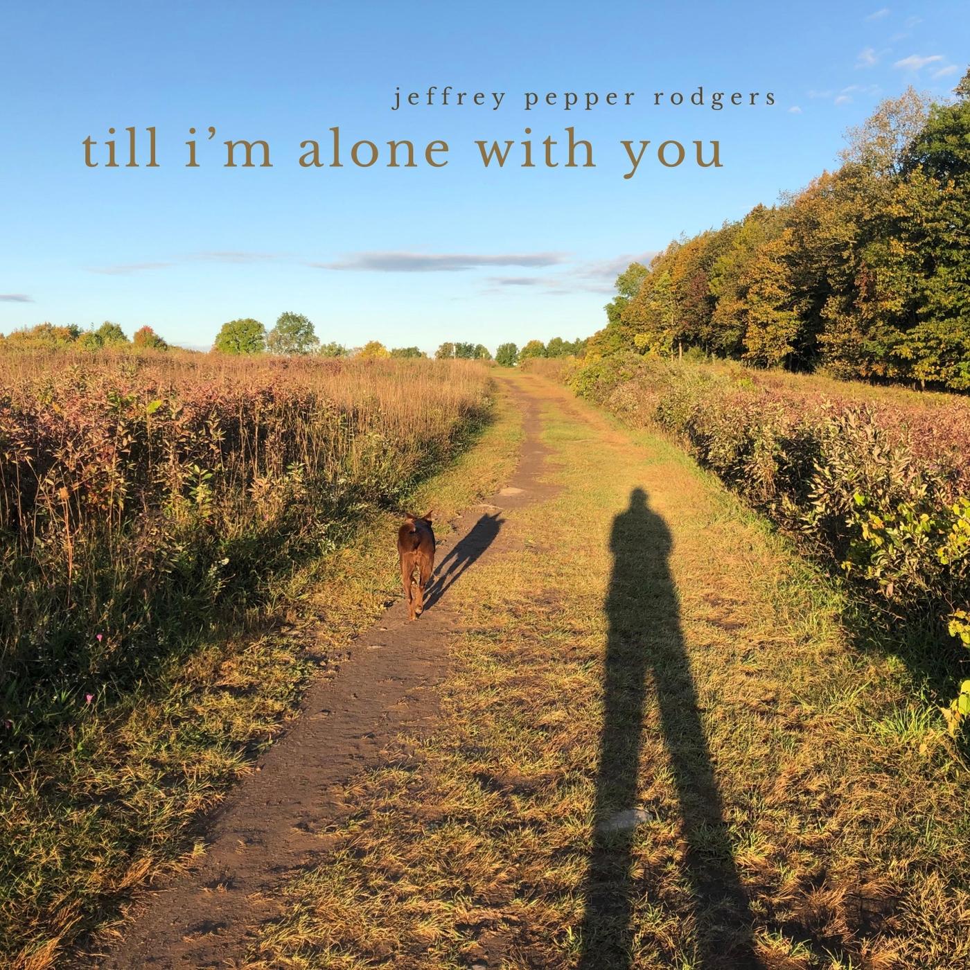 Till I'm Alone with You