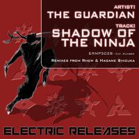 Shadow Of The Ninja