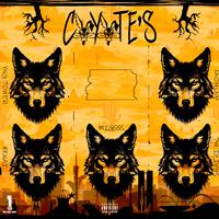 Coyote's