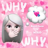 Why Why（Kaz rmx）