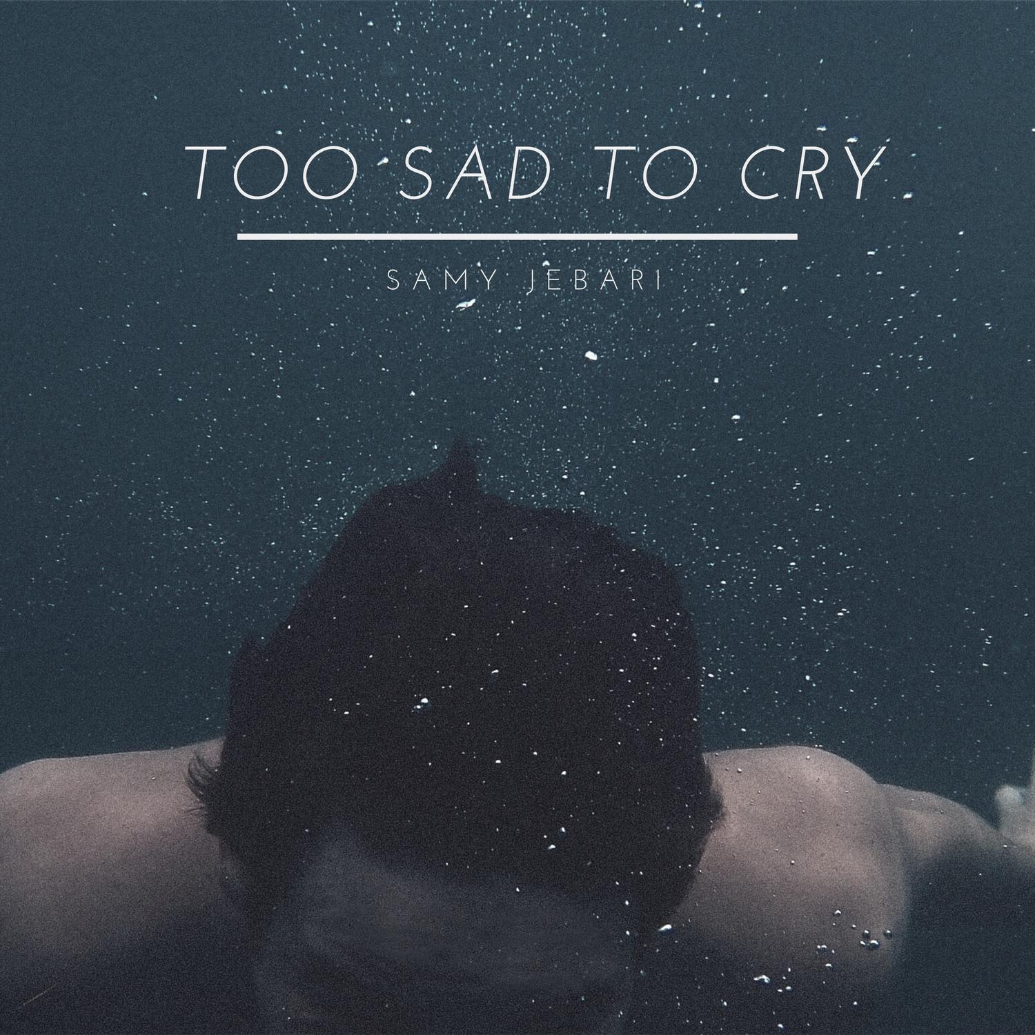 Too Sad to Cry