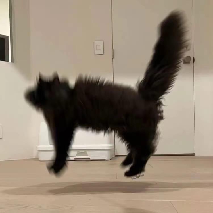 恶魔的爱（前半段）