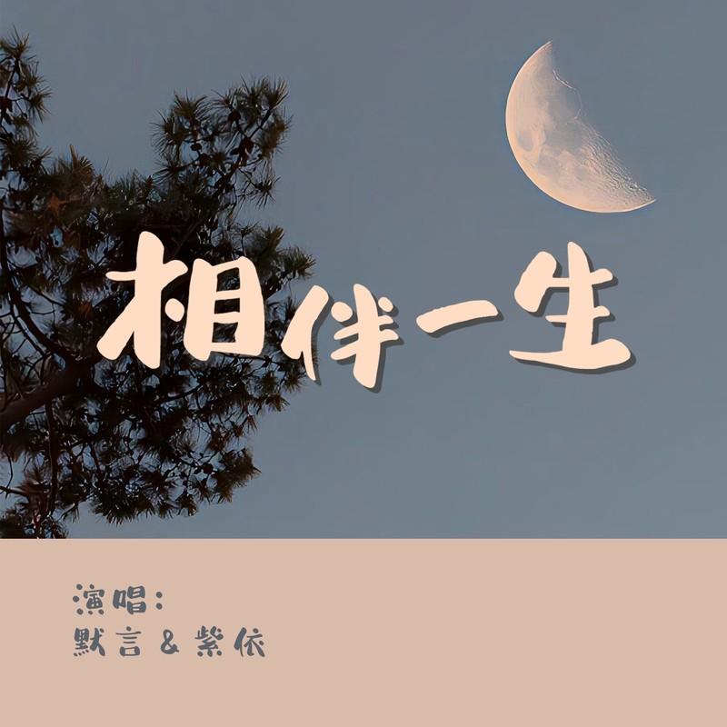 相伴一生 (对唱版)封面