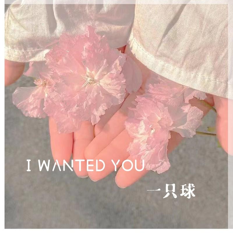 I Wanted You (温柔女生版) - 一只球封面