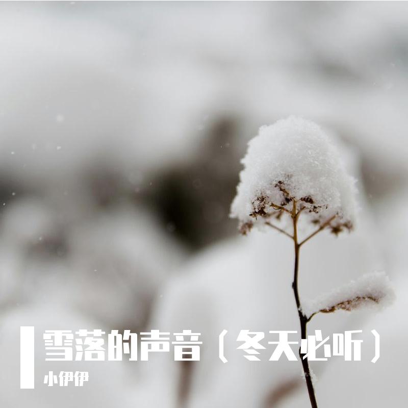 一起大声放肆尖叫封面