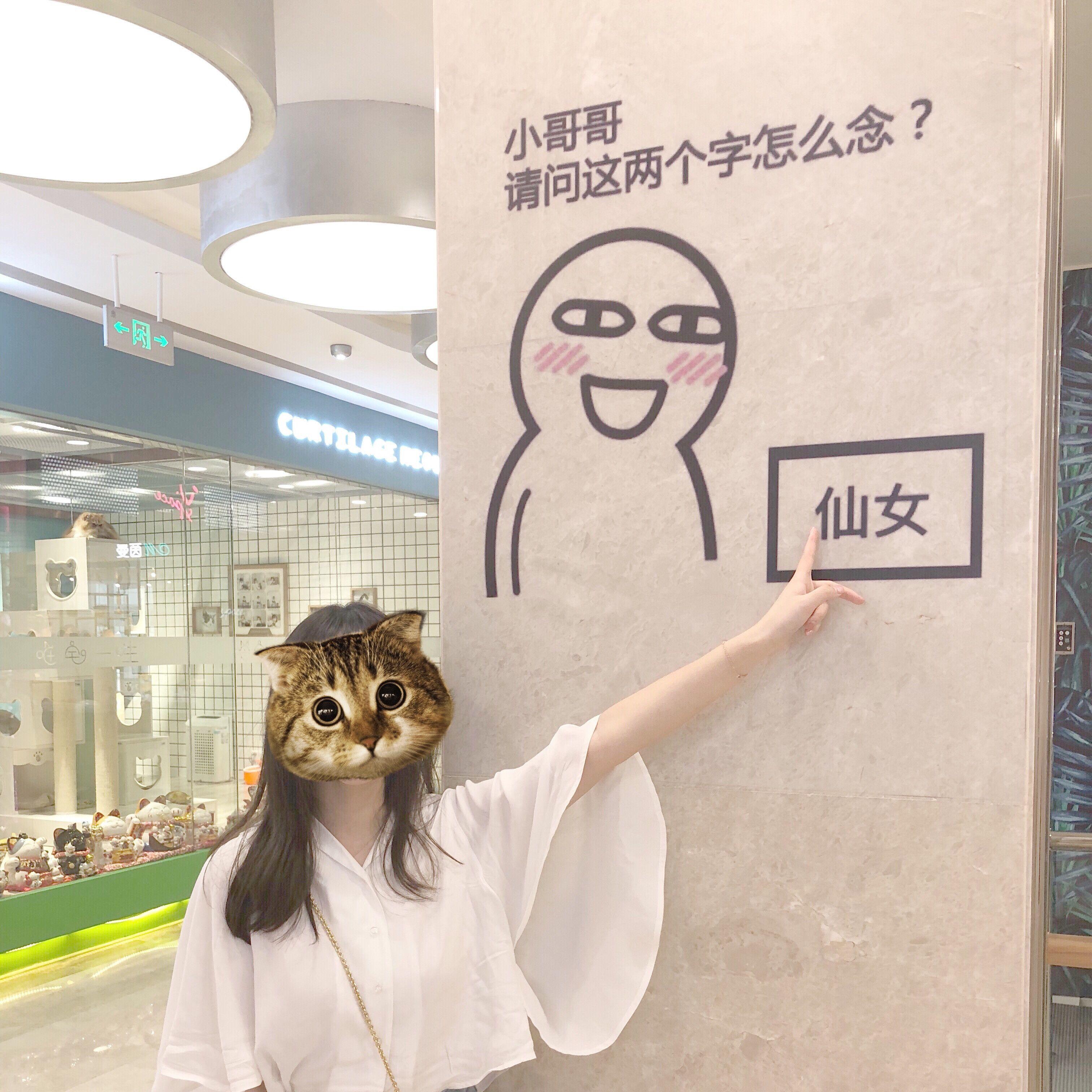 不羁青春的摇滚呐喊封面