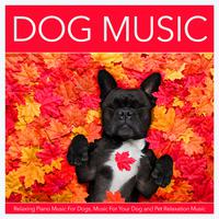 Dog Music: Relaxing Piano Music For Dogs, Music For Your Dog and Pet Relaxation Music