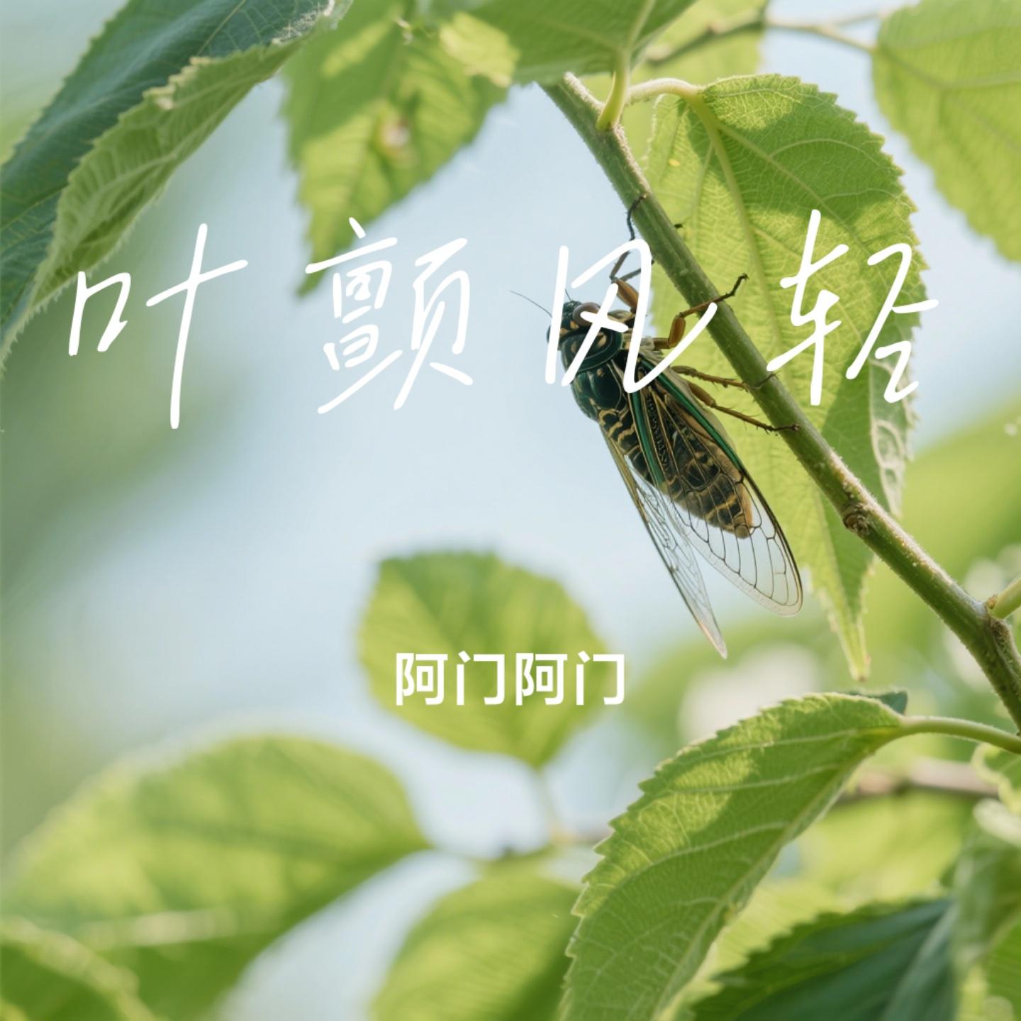 叶颤风轻封面