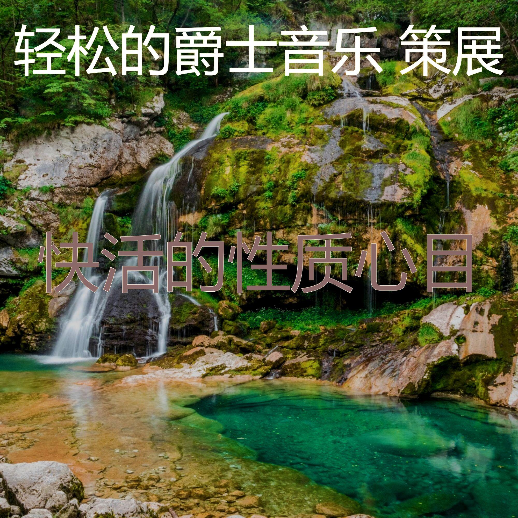 诗意的睡眠节奏封面