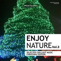 Enjoy Nature Vol. 3 - Selected Chillout Music (Christmas Edition)