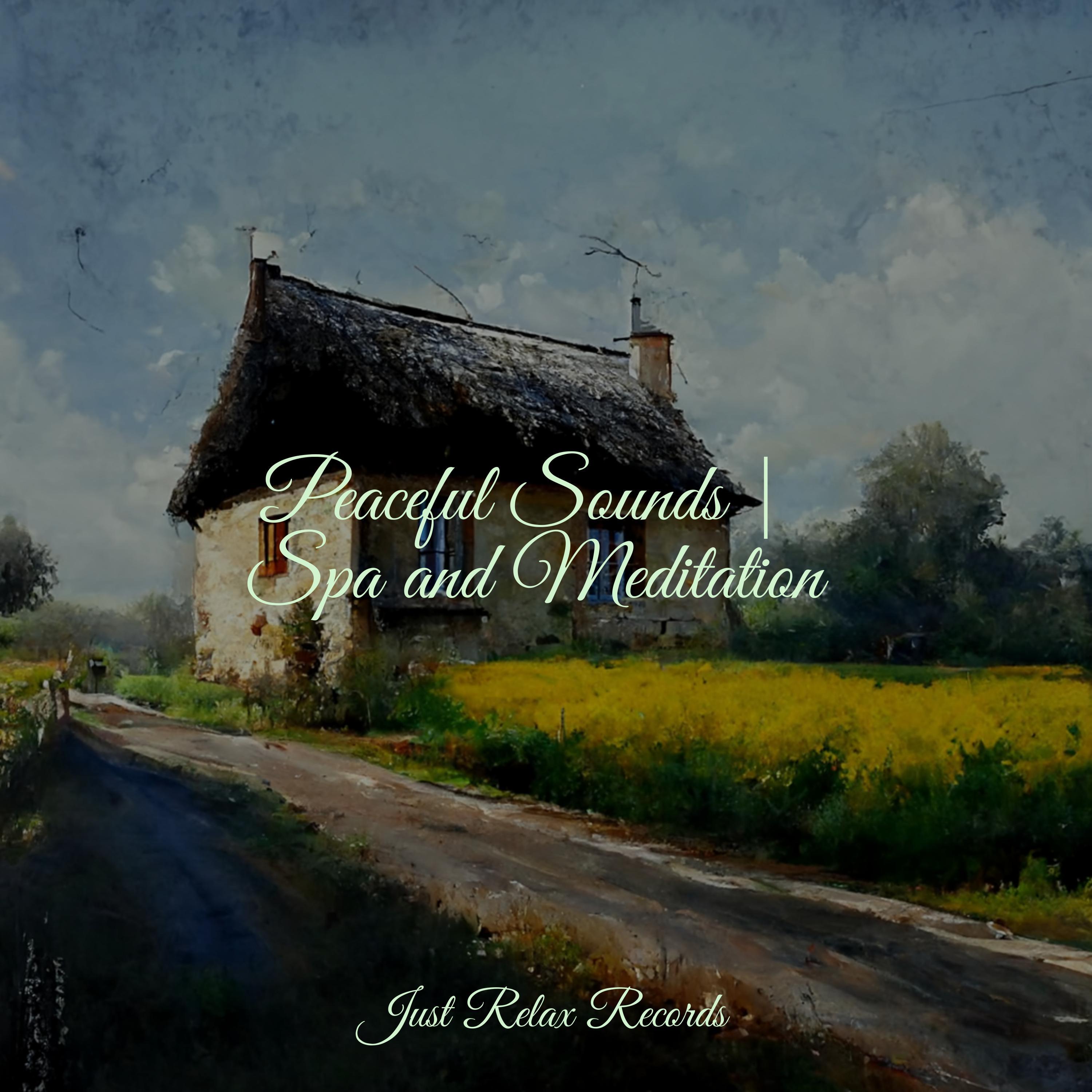 Endless Depths of Tranquility Ambiente/Sonido Del Bosque y Naturaleza