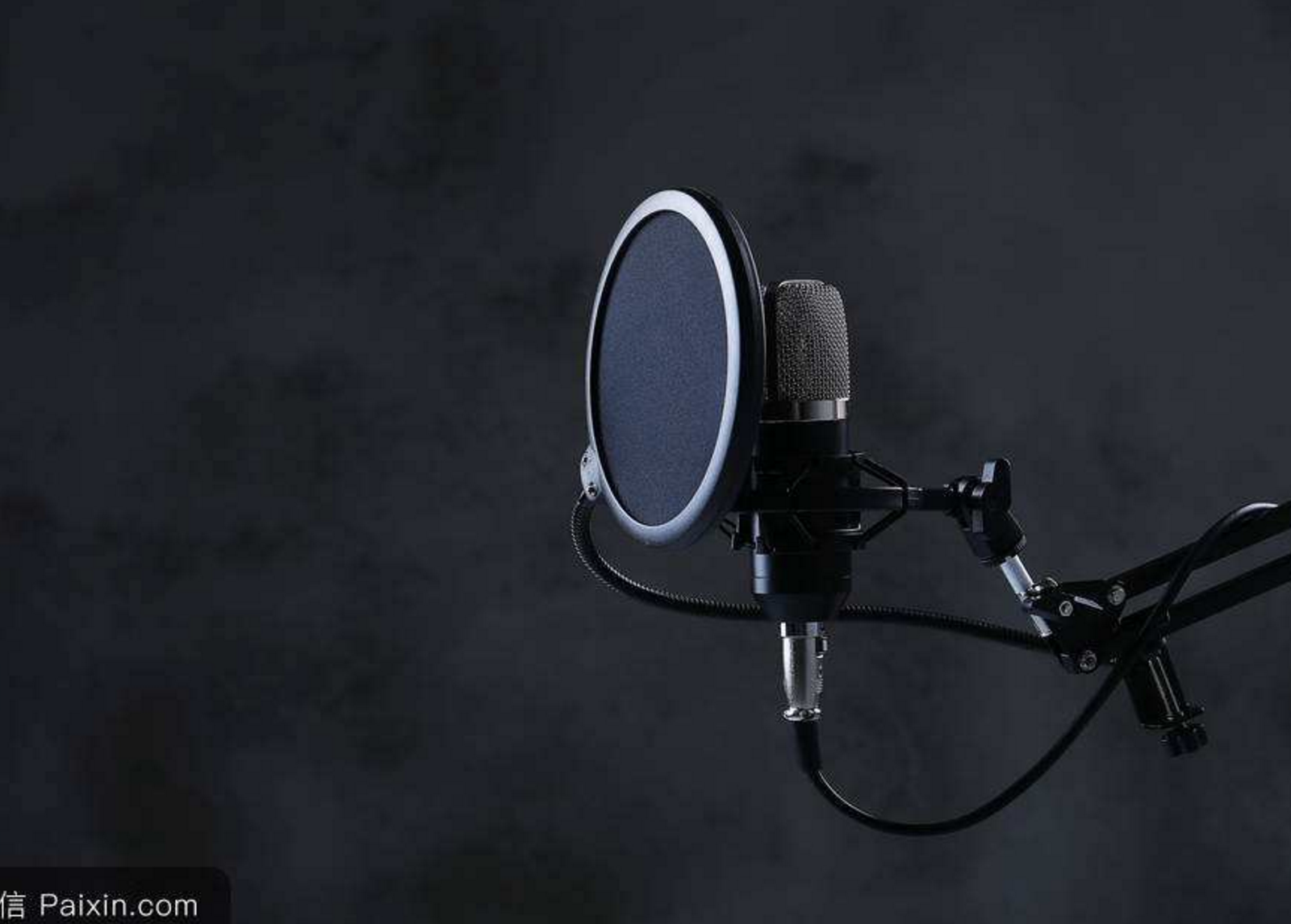 流浪歌手的情人