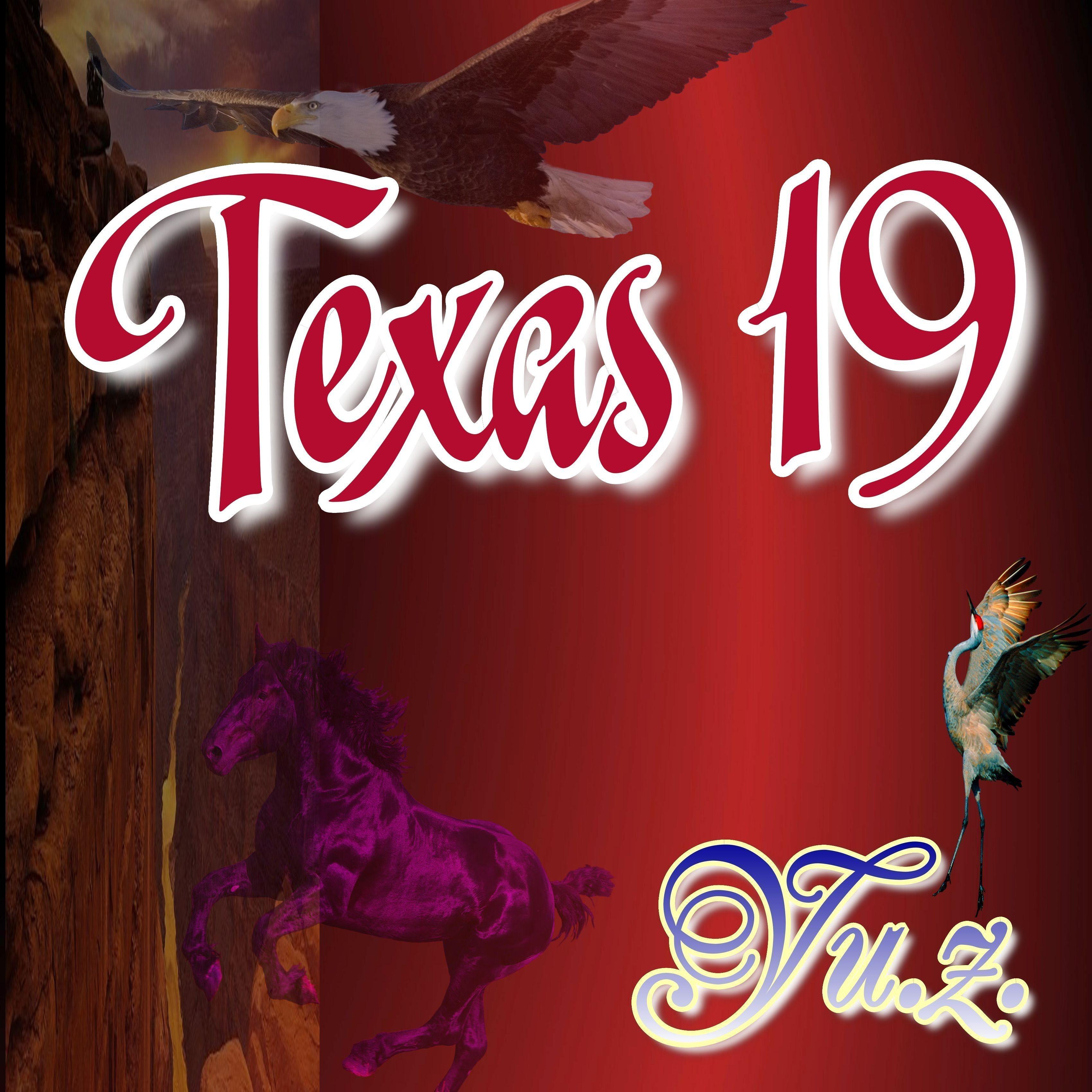 Texas 19