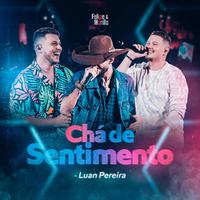 Chá de Sentimento (Ao Vivo)