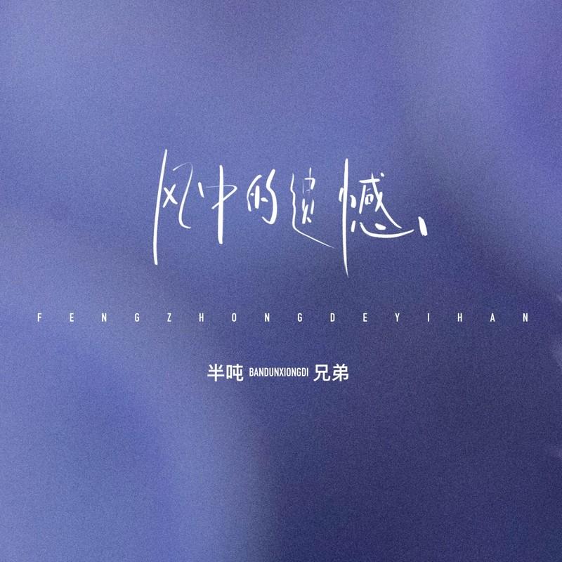 风中的遗憾封面
