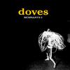 Doves - Black And White Town (Live From The Eden Sessions, United Kingdom / 2010)