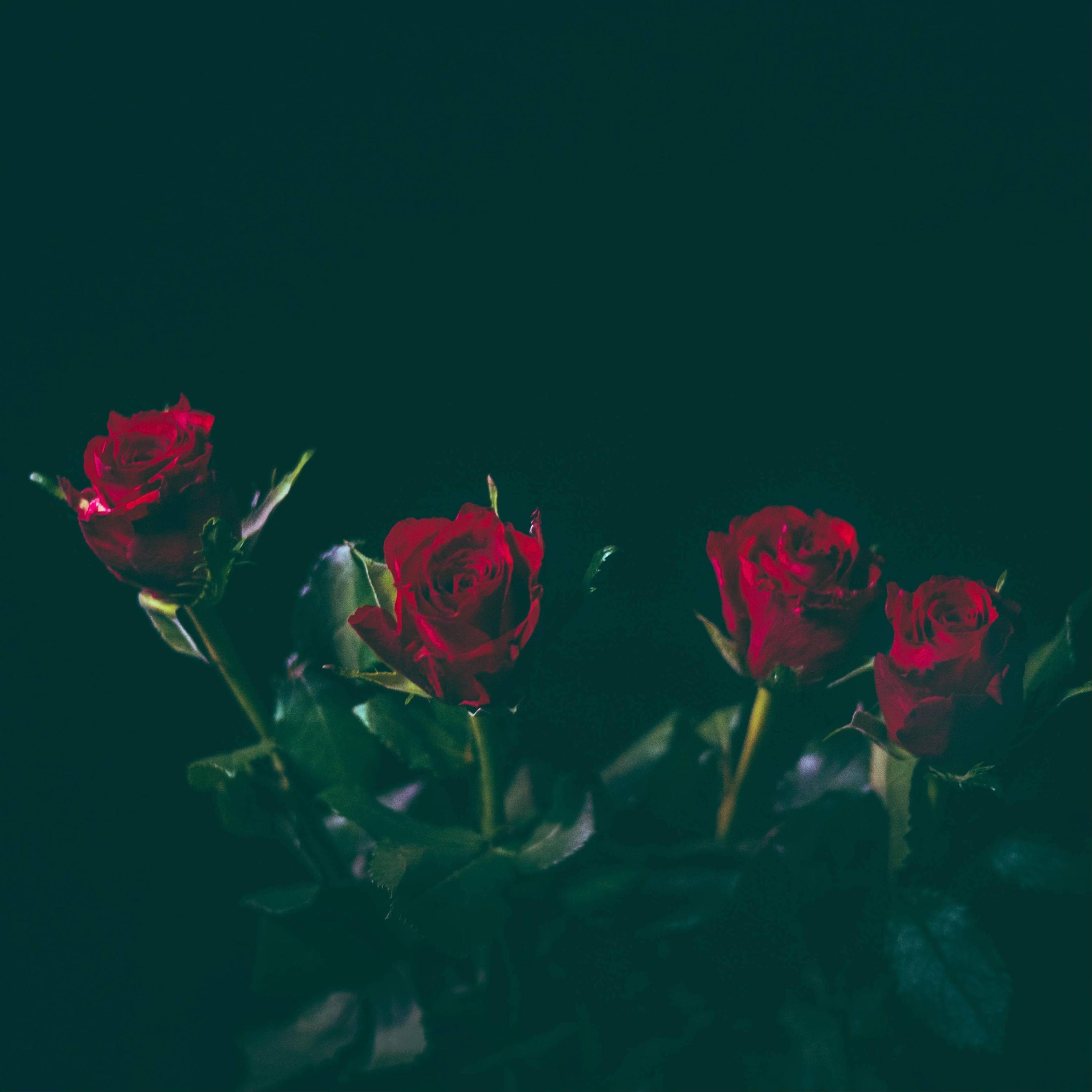 song-img
