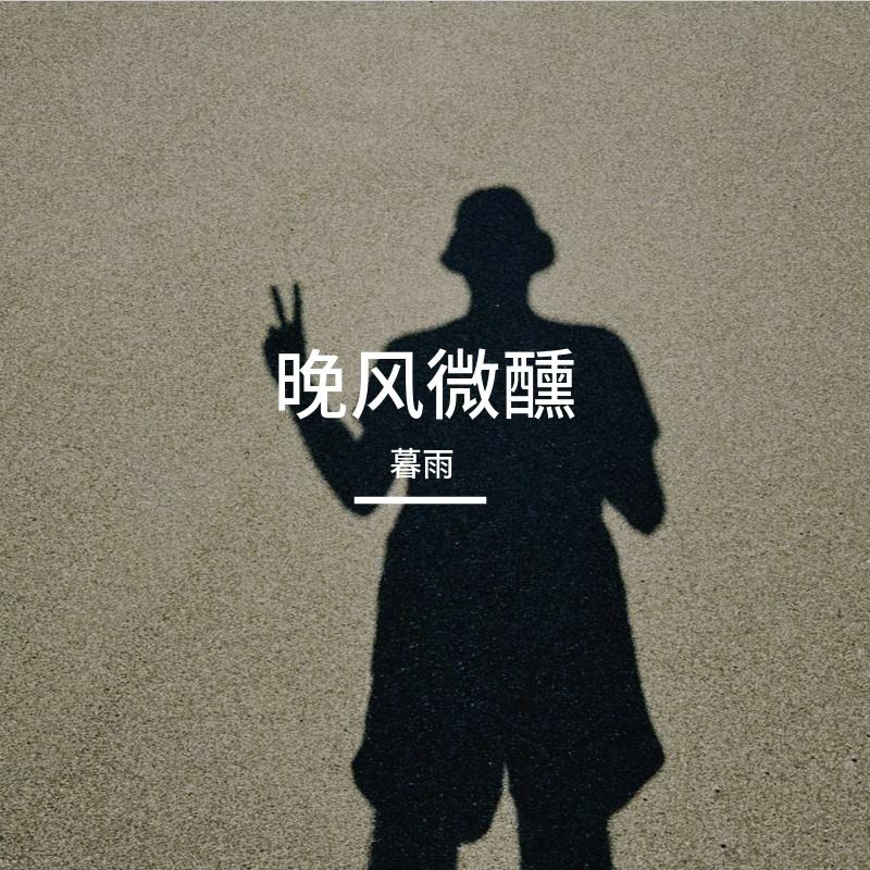 晚风微醺封面