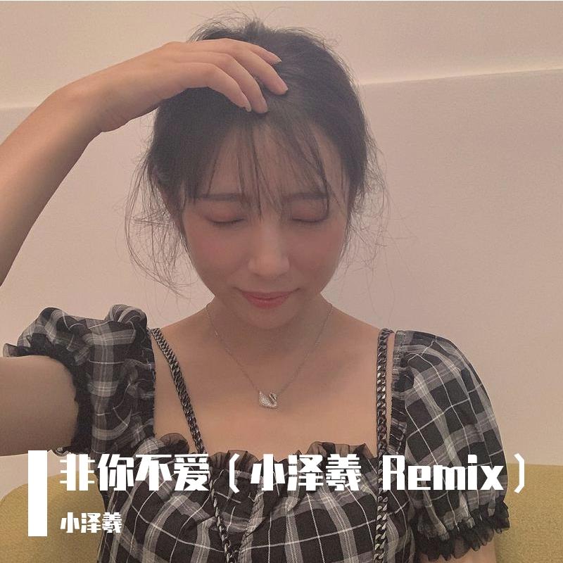 弦子-非你不爱(Remix)封面