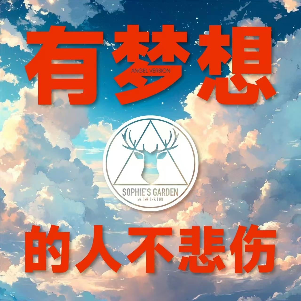 有梦想的人不悲伤（天使版）封面