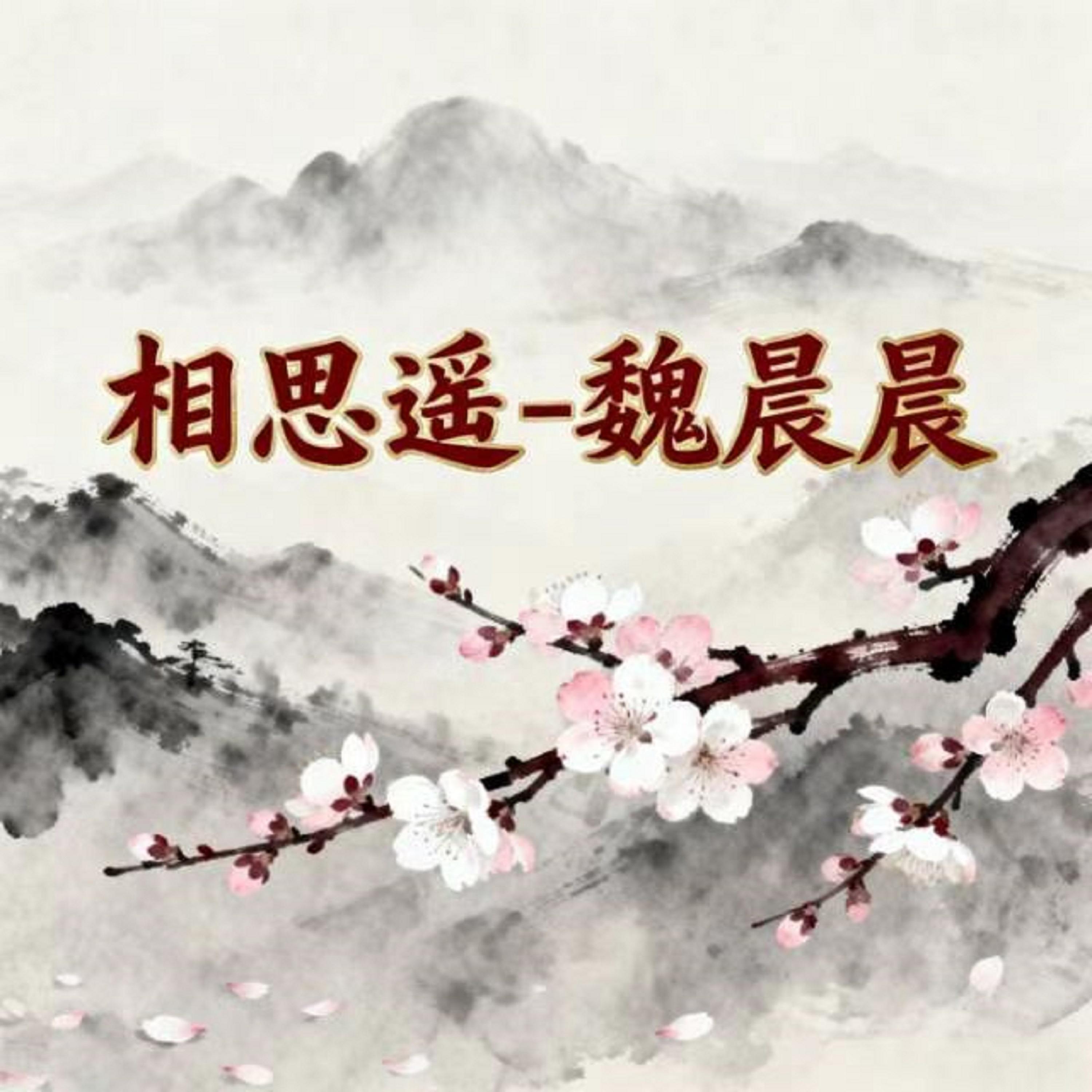 相思遥 (DJ版) - 魏晨晨封面