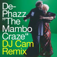 The Mambo Craze (DJ Cam Remix)