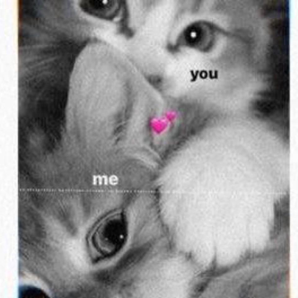 我不想在错过第二次了