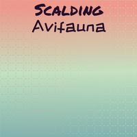 Scalding Avifauna