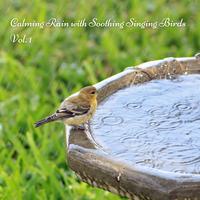 Calming Rain with Soothing Singing Birds Vol. 1