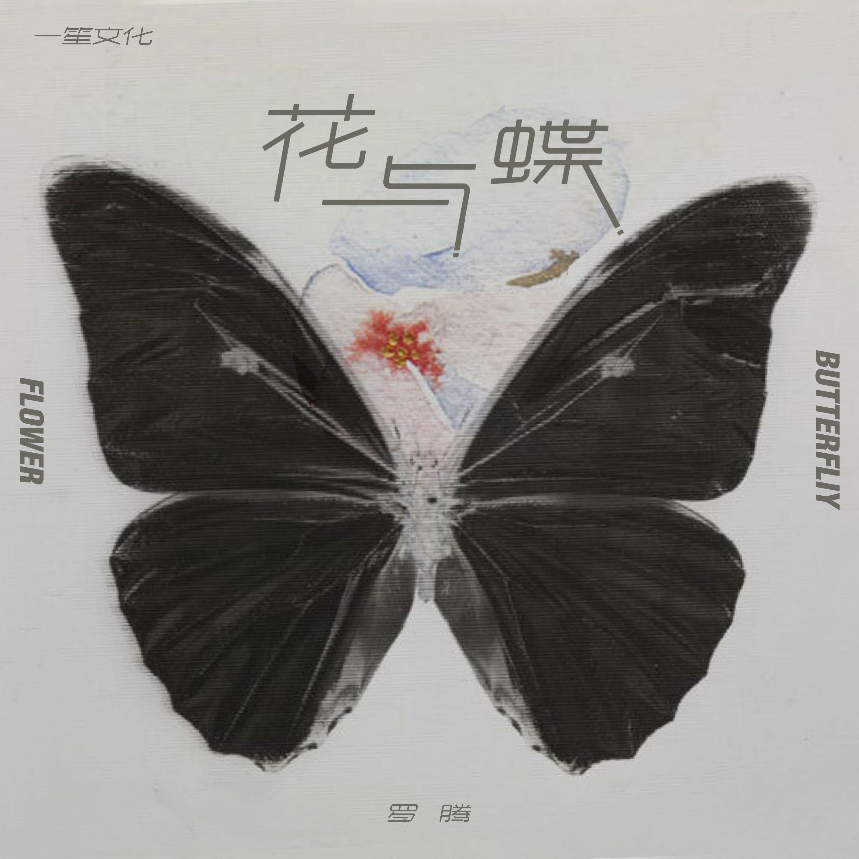 花与蝶封面