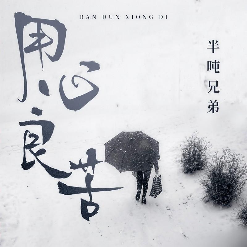 用心良苦(DJ伴奏版) - 半吨兄弟封面