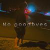 Lil Skippy - No Goodbyes