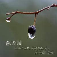 森の泪 (Healing Music of Nature)