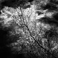 Perma De​-​Frost