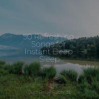 50 Refreshing Songs for Instant Deep Sleep