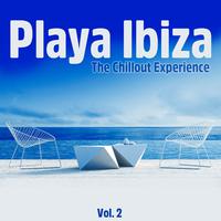 Playa Ibiza, Vol. 2