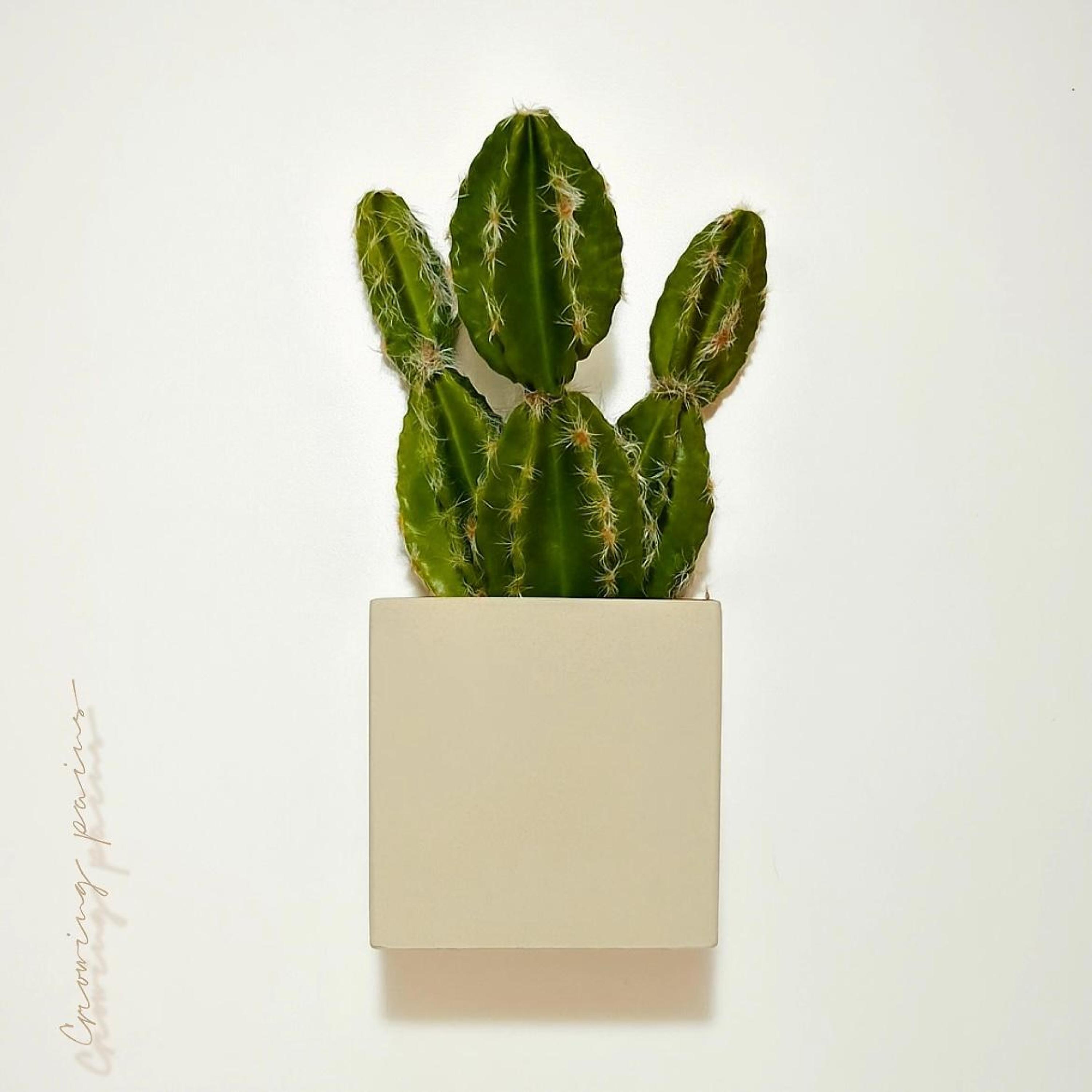 growing pains (feat. John Lorish)