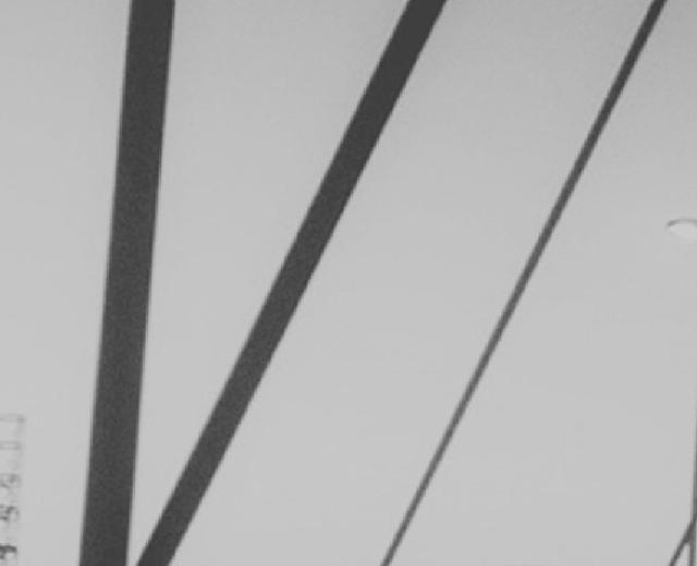 idealism