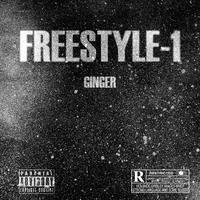 Freestyle 1