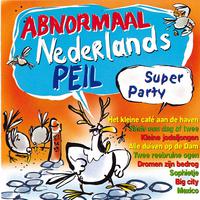 Abnormaal Nederlands Peil Super Party