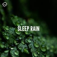 Sleep Rain