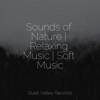 Sounds of Nature | Relaxing Music | Soft Music