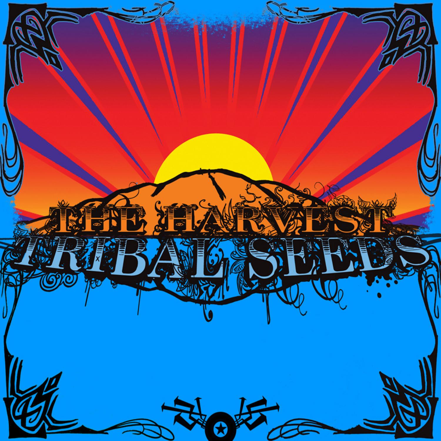 Love Psalm_Tribal Seeds_The Harvest | 在线播放_Love Psalm歌词_Love Psalm下载 | 网易云音乐