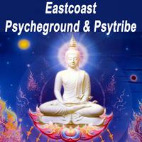 Eastcoast Psycheground & Psytribe 