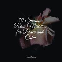 50 Summer Rain Melodies for Peace and Calm