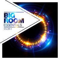 Big Room Essentials, Vol. 8