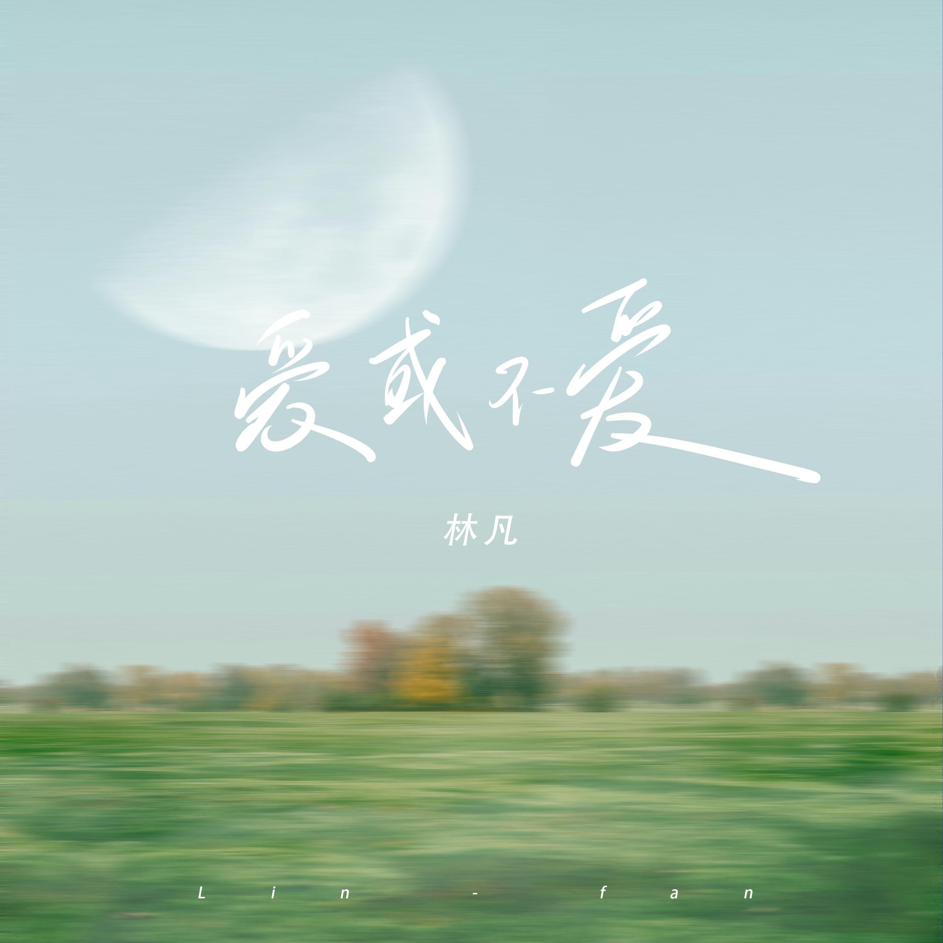 爱或不爱封面